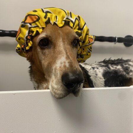Bath Boomer